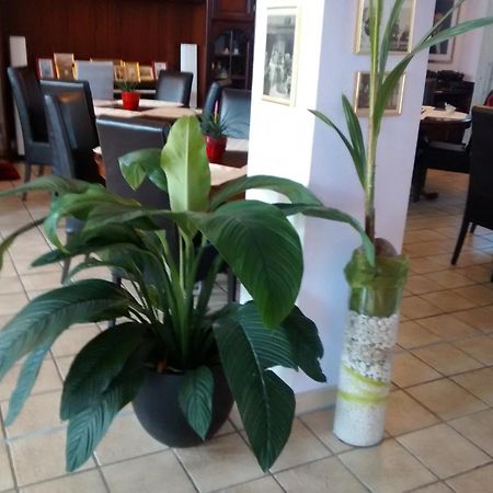 Hotel Attache Raunheim Ngoại thất bức ảnh