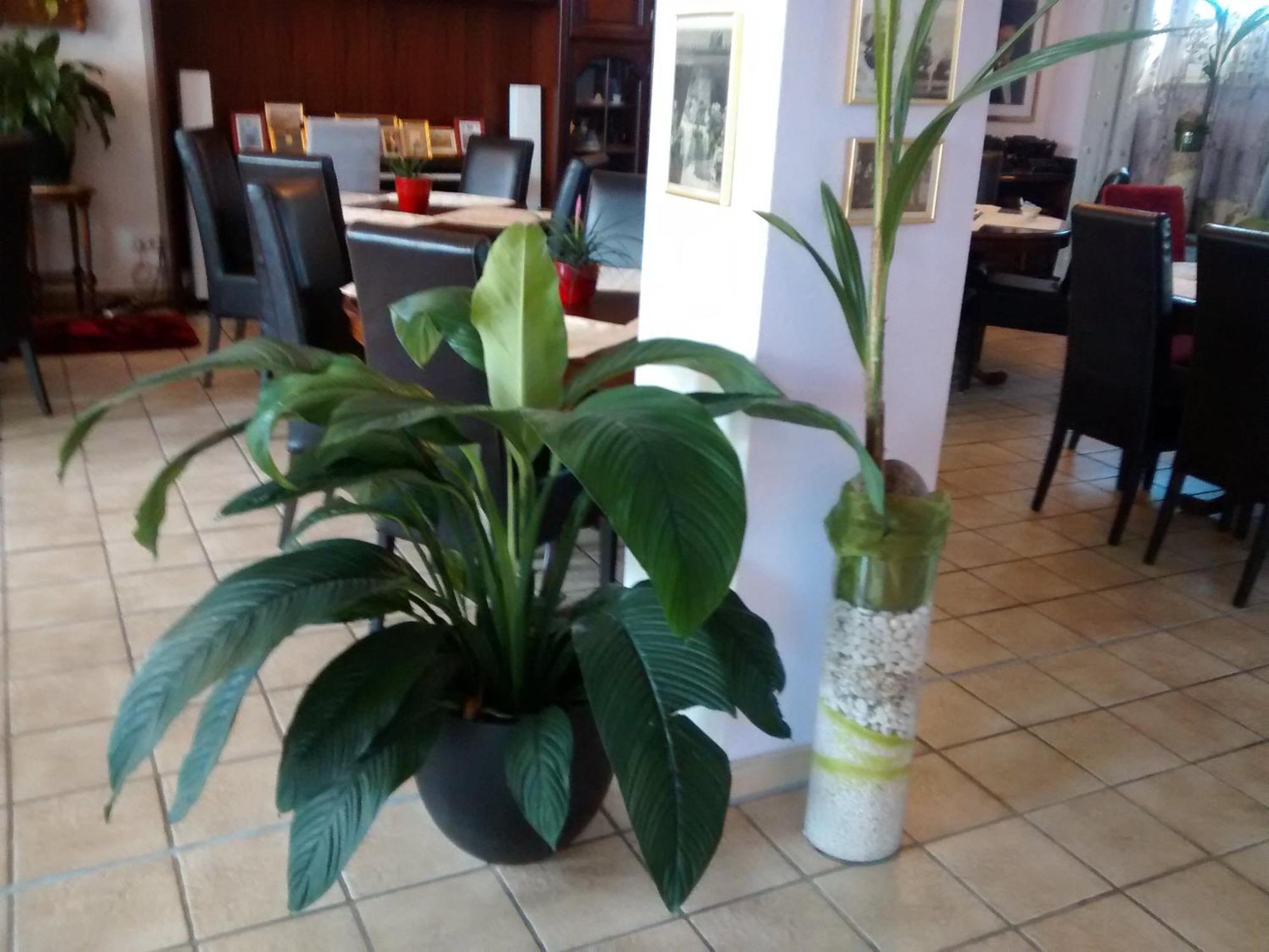 Hotel Attache Raunheim Ngoại thất bức ảnh
